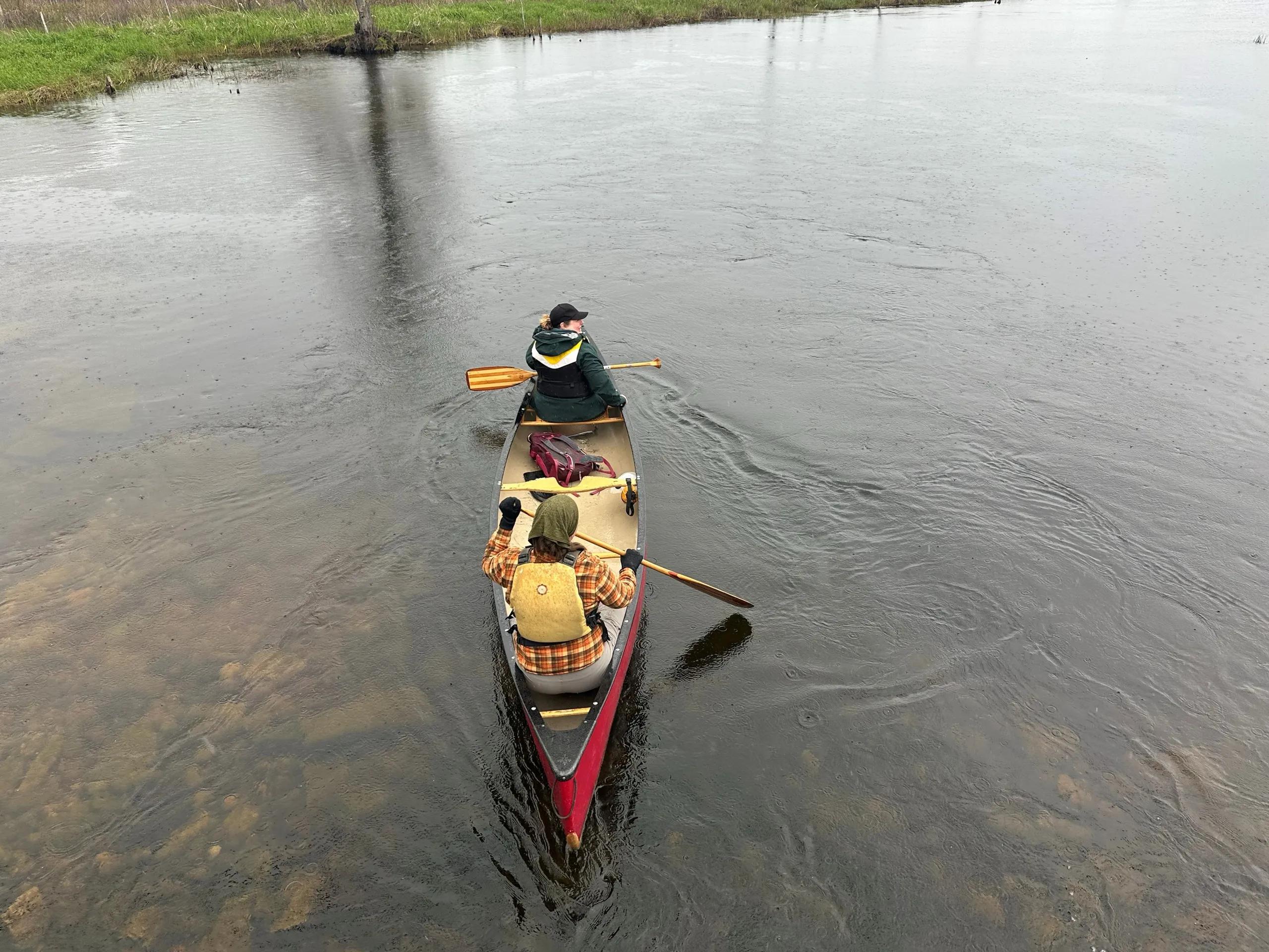 Two paddlers seen from above making their way down the Rankin River at the 2026 canoe rally